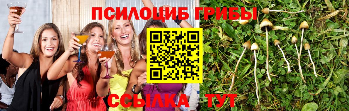 Галлюциногенные грибы MAGIC MUSHROOMS Набережные Челны